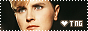88x31 code
